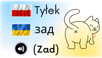 kot od tyłu, napis polski, napis ukrainski i napis wymowy fonetycznej po ukraińsku