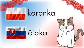 kot, słowo koronka po polsku, słowo koronka po słowacku, koronka, tło niebieskie, białe i czerowne
