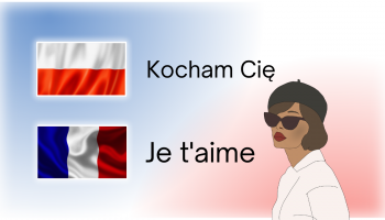 flaga polski, flaga francji, francuzka, napis po polsku, napis po francusku, tło w kolorze barw flagi francji