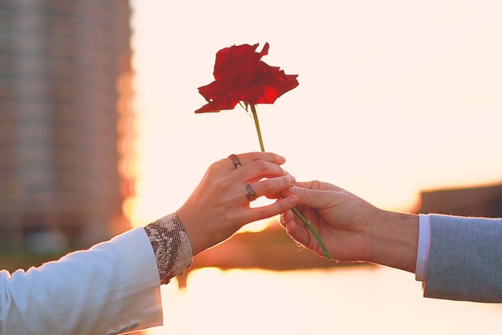 ręka kobiety i meżczyzny, którzy trzymają razem kwiat róży