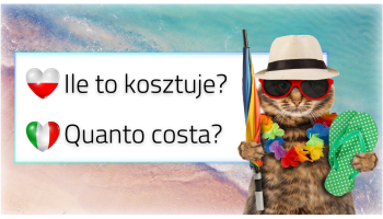 kot brany na wakacyjno, zdania po polsku, zdnaie po włosku, flaga polski w ksztłcie serca i flaga Włoch, w tle morze i plaża