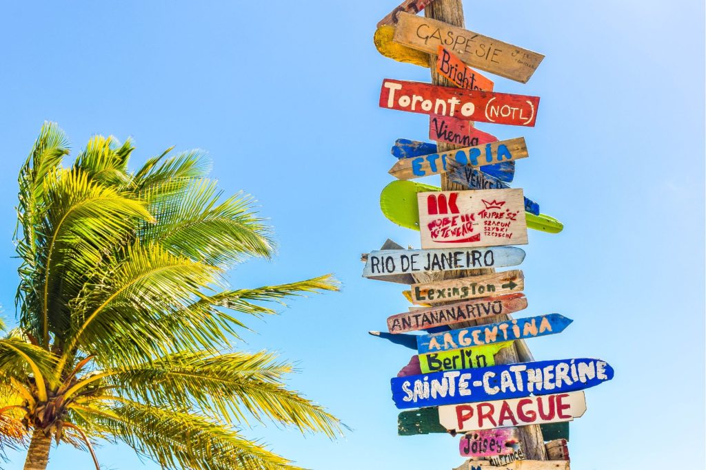 a sign to which there are plates with the directions of selected cities, palm trees and blue sky