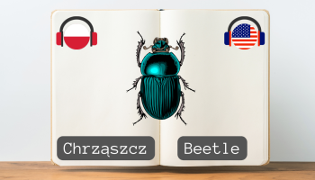 beetle, lettering in English, open book, Polish flag, flag of the united states