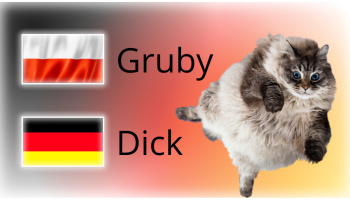 śmieszny kot w powietrzu, napis gruby, napis niemiecki, flaga polski, flaga niemiec, tło w barwach flagi niemieckiej