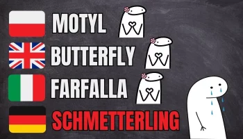 porównanie słowa "motyl" w różnych językach